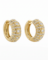 The Tillie Hoops